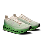 Giày Th? Thao Ch?y B? Nam On Running Cloudsurfer Max