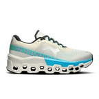 Giày Th? Thao Ch?y B? N? On Running Cloudmonster 2 - Xám